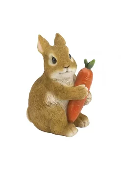 Summerfield Terrace Rabbit Hugging Carrot Garden Figurine -Bella-Vita Shop Belk 1141