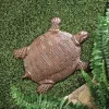 Summerfield Terrace Cast Iron Turtle Stepping Stone -Bella-Vita Shop Belk 1450