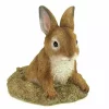 Summerfield Terrace Stone-Look Bunny Garden Sculpture 2 Summerfield Terrace Stone-Look Bunny Garden Sculpture -Bella-Vita Shop Belk 1532